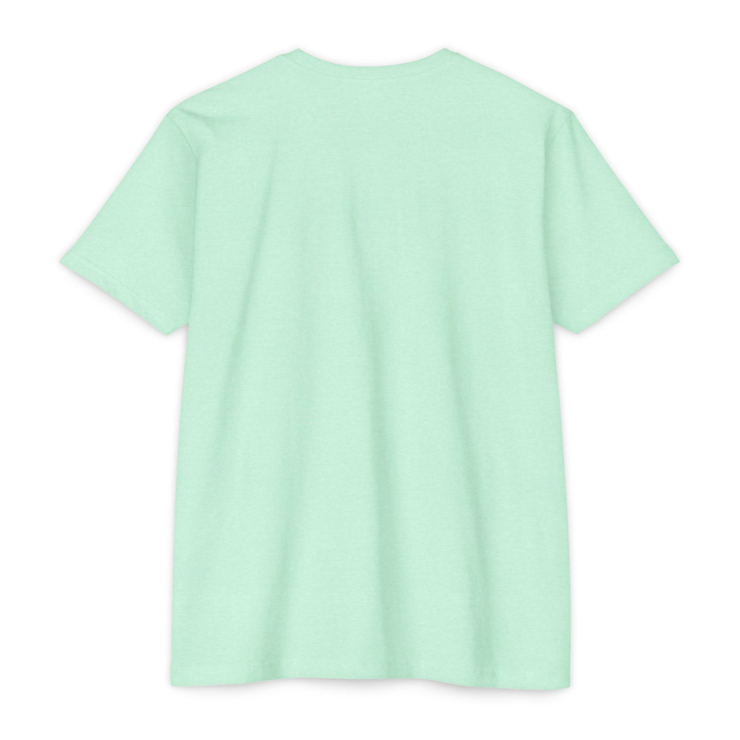 Turtle Tee Shirt
